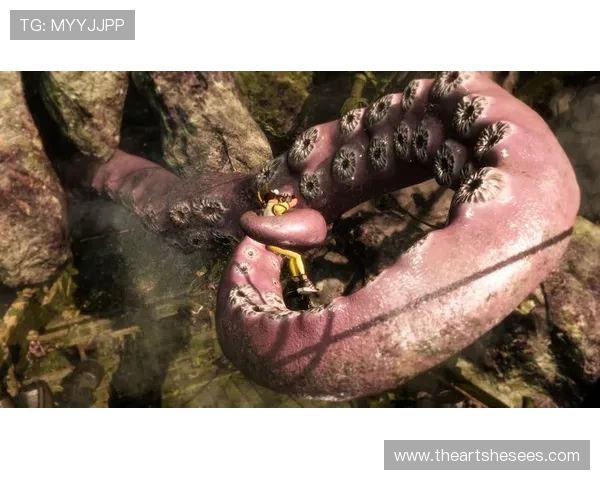 探索Z6尊龙旗舰厅(中国)官方网站的游戏种类与特色体验